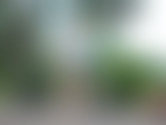 Get Your New Year Rolling with These Bikes From Mendham Bicycle Co.