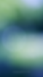 10_home.png