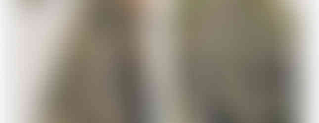 Missing Irrigation, Turf and Trees in HOA Boulevards