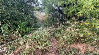 BEFORE bridge is installed in HOA Open Space