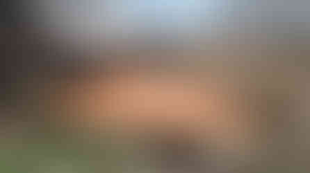 Installing new bridge in West Winds HOA