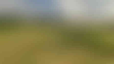 Before Trail construction - No Outlet