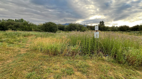 Before Trail construction - No Outlet