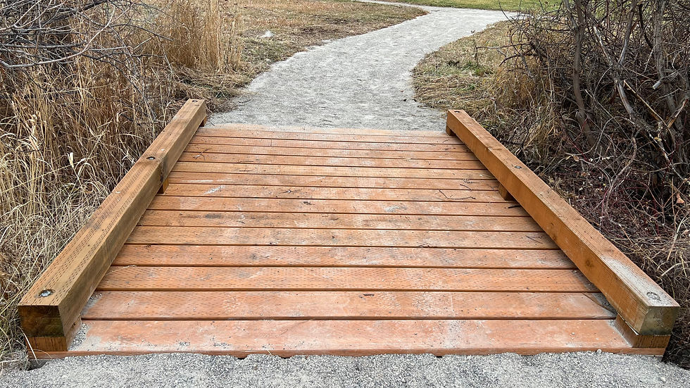 New trail and bridge installed in West Winds HOA