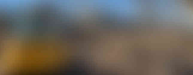 Mowing Cattails in Stormwater Basin