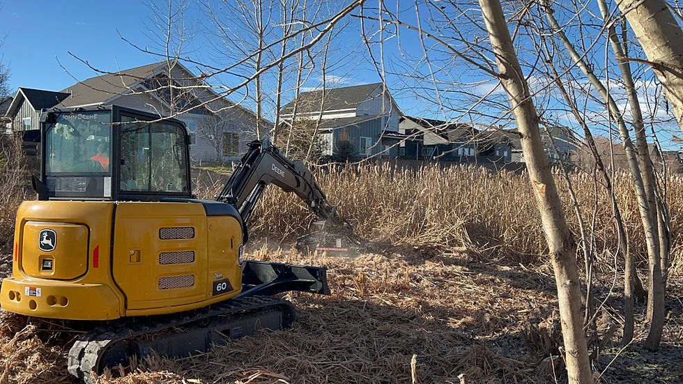 Cattail Mowing in West Winds HOA Stormwater Basin