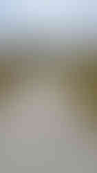 After GVLT Improves West Winds Park Trail