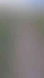 Before GVLT Trail Improvement in West Winds Parks Area