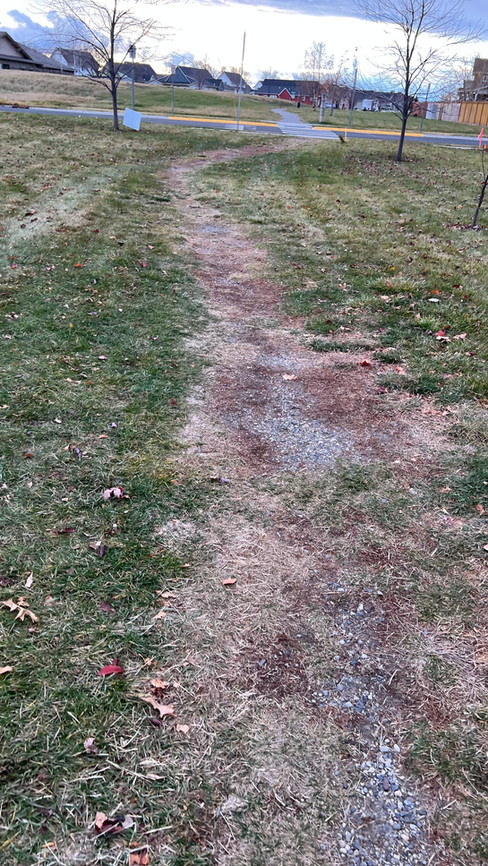 Before GVLT Trail Improvement in West Winds Parks Area