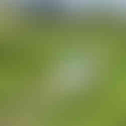 BEFORE Trail Improvement with Project Sign in West Winds