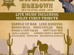 Hopefield Hoedown
