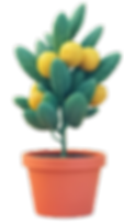 middle lemon tree