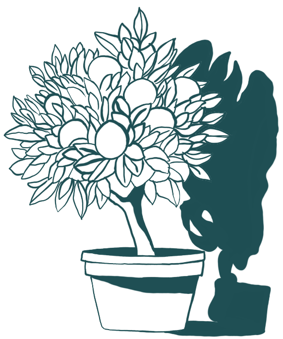 Zitronenbaum