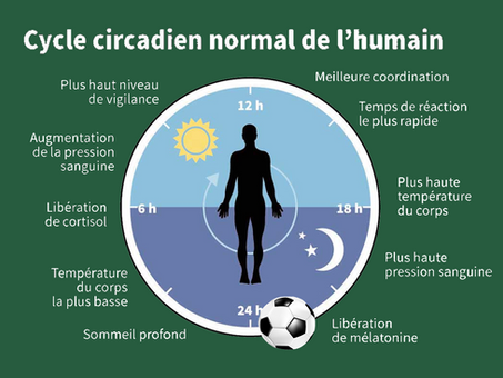Respecter son cycle circadien pour faire performer son football !