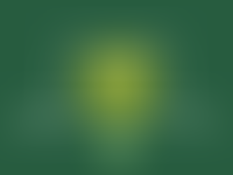 L'entraînement physique spécifique du gardien de football