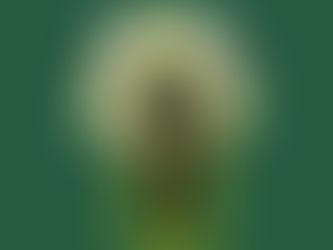 Le management contextuel de la préparation physique footballistique