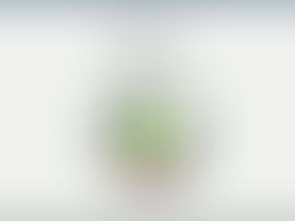 L'entraînement de la mobilité footballistique