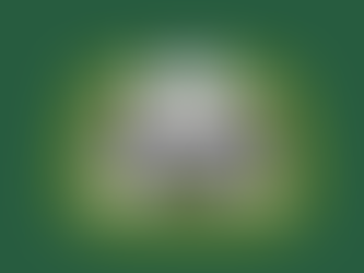 Les usages, les limites et les pistes d’amélioration du contrôle du poids footballistique