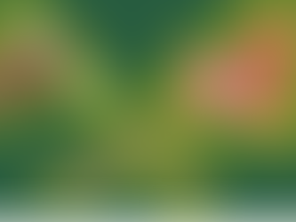 Le Fat-Tool, les Triggers Points et la moxibustion footballistiques