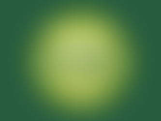 Une approche holistique de la préparation physique footballistique