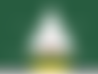 L'efficience de l'entraînement physique footballistique