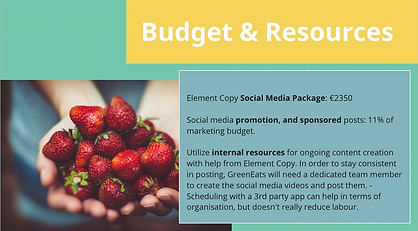 Budget and resources. Element Copy Social Media Package.