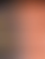 Démoussage toiture en Haute-Savoie : redonnez vie à vos tuiles, terrasses et façades