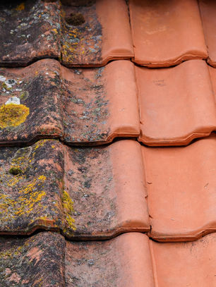 Démoussage toiture en Haute-Savoie : redonnez vie à vos tuiles, terrasses et façades