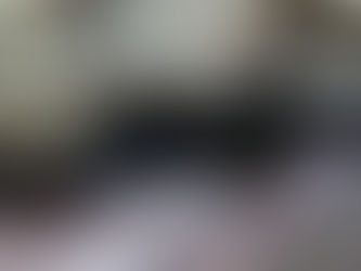 Les différents types d'insectes nuisibles : détecter, comprendre, agir