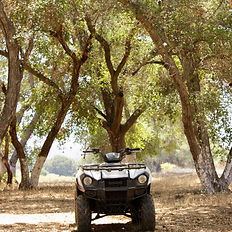 atv double in rancho las delicias