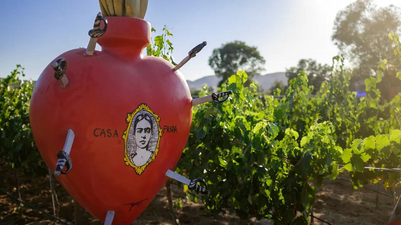 casa frida