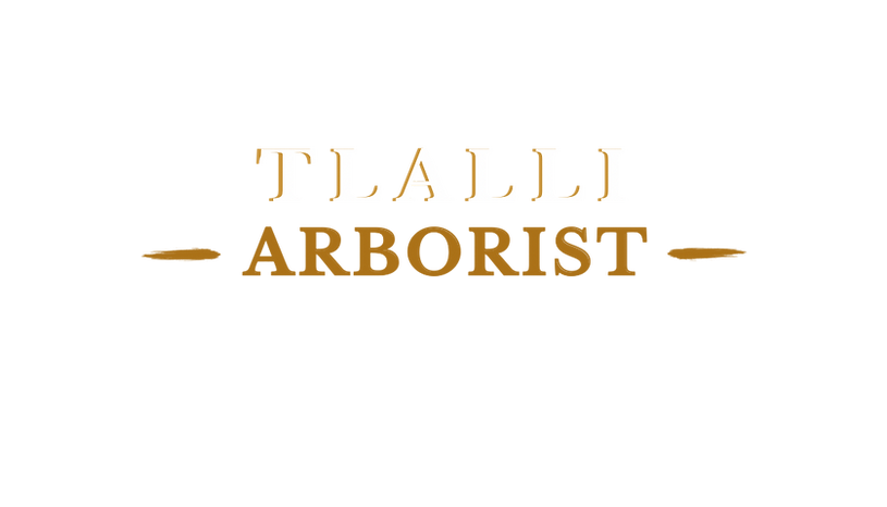 Business Card.png
