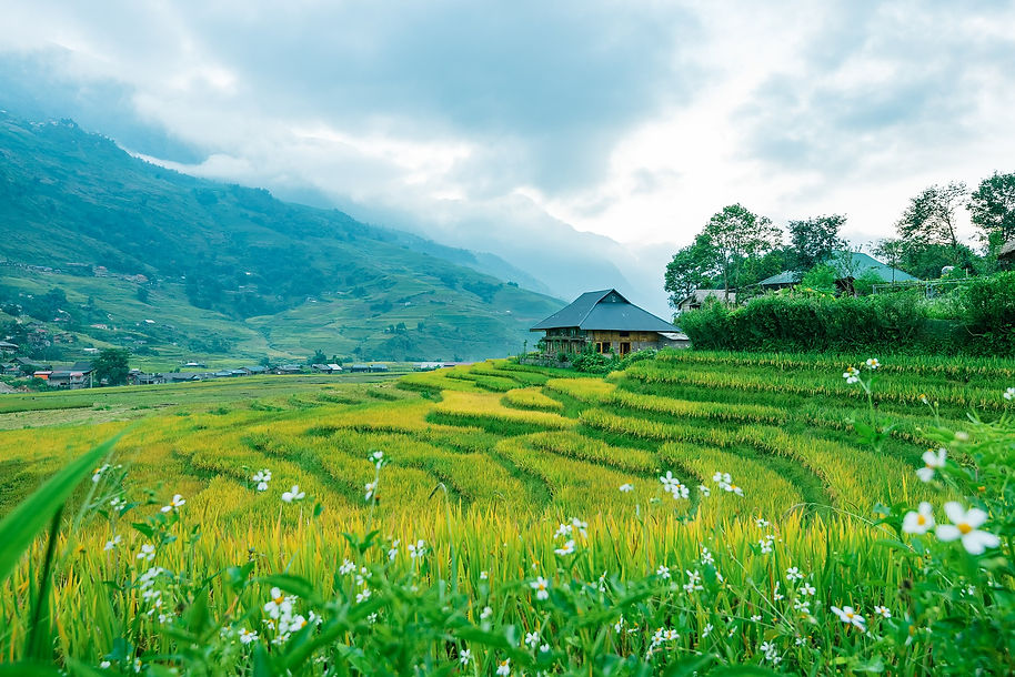landscape-5578712_1920.jpg