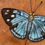 Miniatura: Dynamine tithia