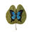 Miniatura: Série: Metamorfose Papilio ulysses