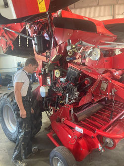 Berufspraktische Tage