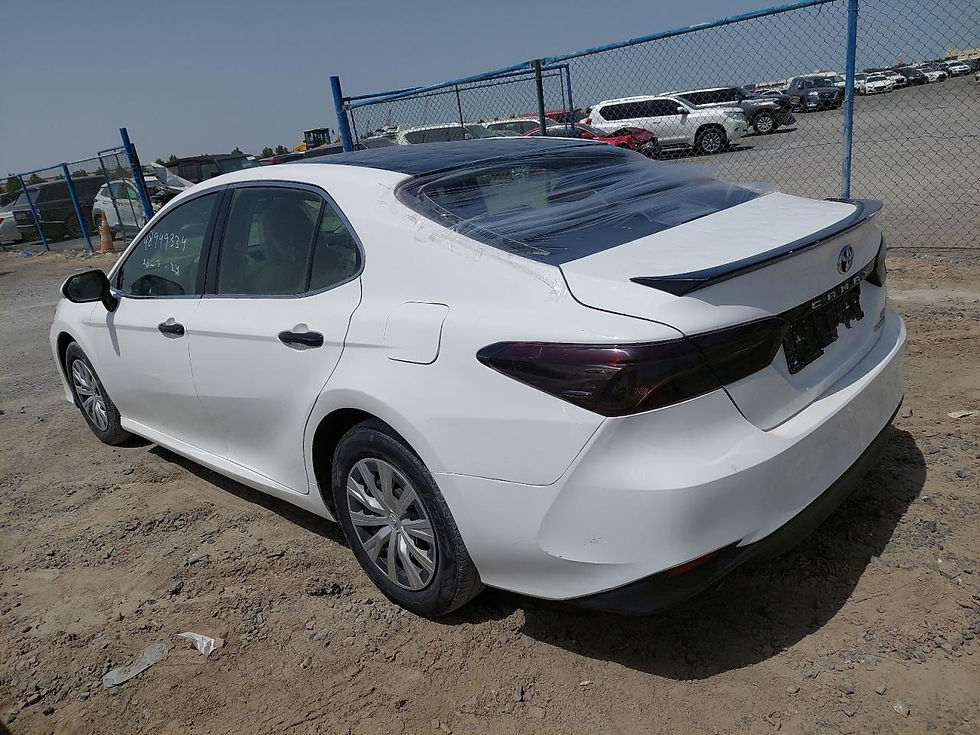 Thumbnail: JTNB29HK4K3015840 TOYOTA CAMRY 2019 TWO TONE VIN:Water/flood