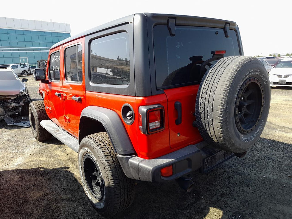 Thumbnail: 1C4HJXDG4LW128047 JEEP WRANGLER 2020 RED VIN:Water/flood
