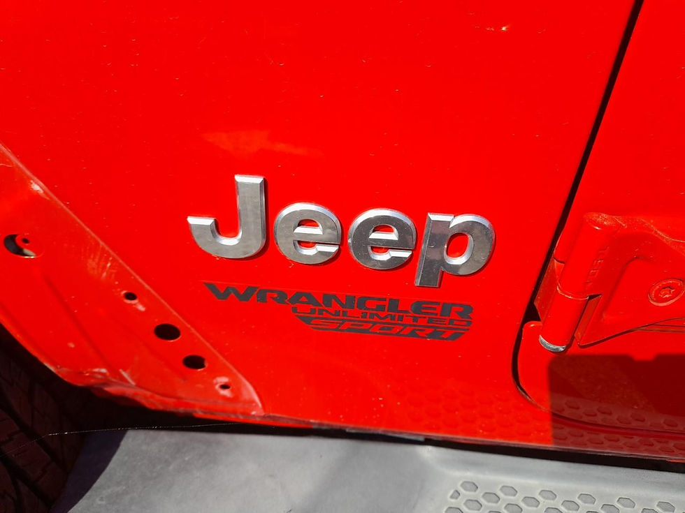 Thumbnail: 1C4HJXDG4LW128047 JEEP WRANGLER 2020 RED VIN:Water/flood