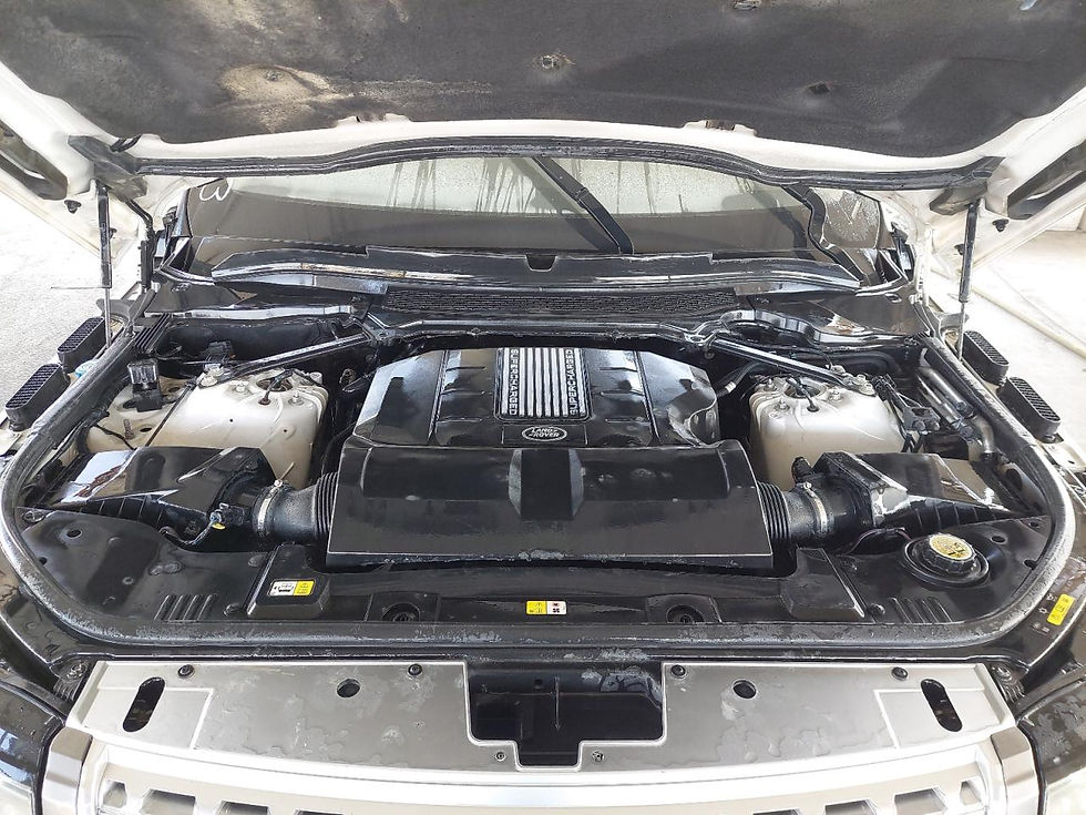 Thumbnail: SALGA2DF8GA301487 RANG HSE 2016 WHITE VIN: Water/flood