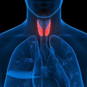 Endocrine