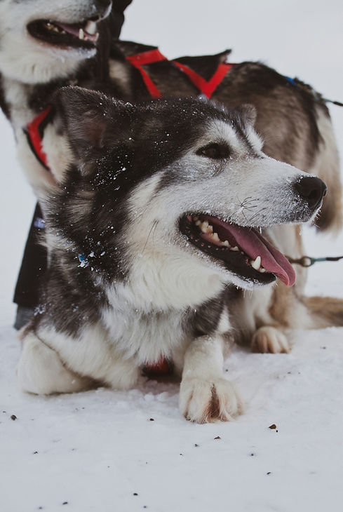 zeke-tucker-nJW1RzBXZcI-unsplash.jpg
