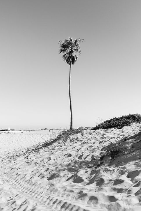 john-forson-q9NubkA7itU-unsplash.jpg