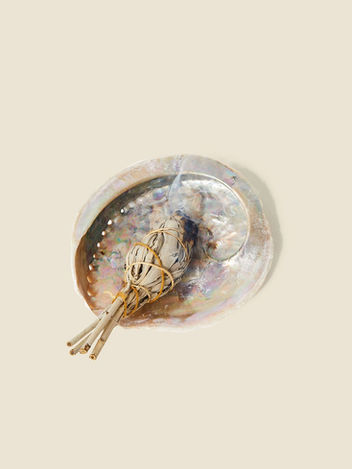 NOMADSofORIGIN Magazine x Palm of Feronia