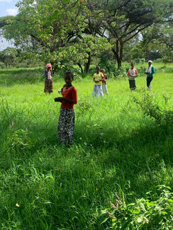 WhatsApp Image 2021-07-10 at 8.32.40 AM.jpeg