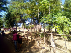 photo_2022-04-23 13.13.25.jpeg