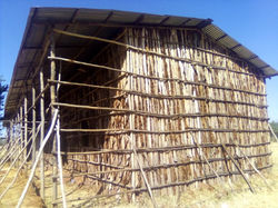 photo_2022-04-23 13.13.11.jpeg