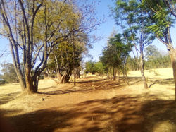 photo_2022-04-23 16.52.14.jpeg