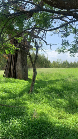 WhatsApp Image 2021-07-10 at 8.37.36 AM.jpeg