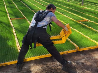Skelex bringt passives Exoskelett zur Rückenunterstützung auf den Markt